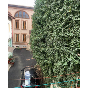 4-к. квартира, 90 м², 2/2 эт.